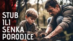 stub-ili-senka-porodice