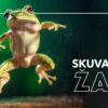 skuvana-zaba