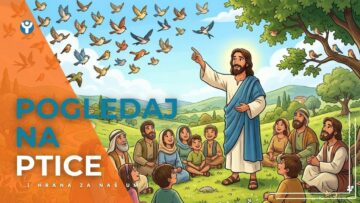 pogledaj-na-ptice